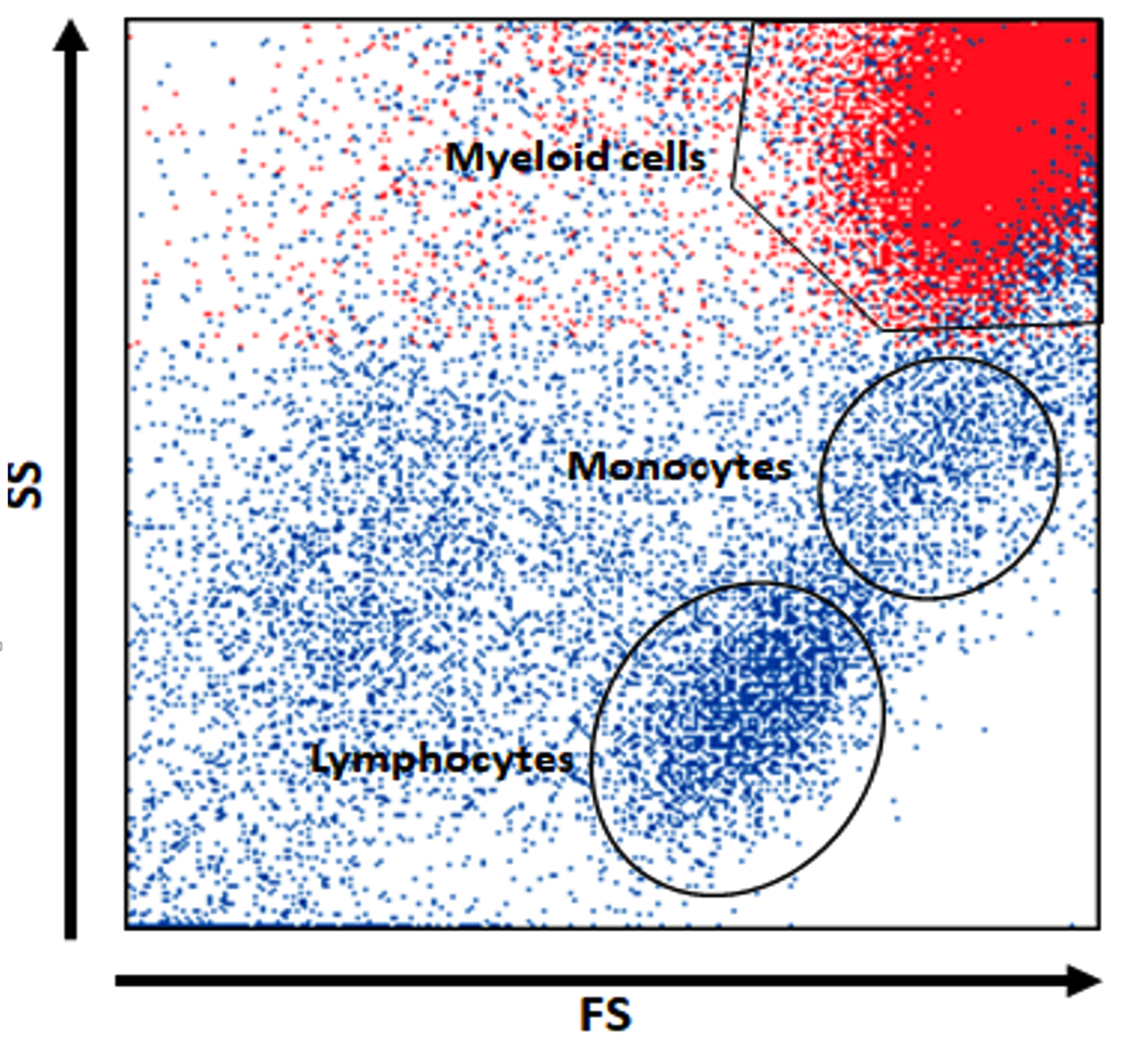 FlowXAI and PLAIT for explainable lymphoma decision support